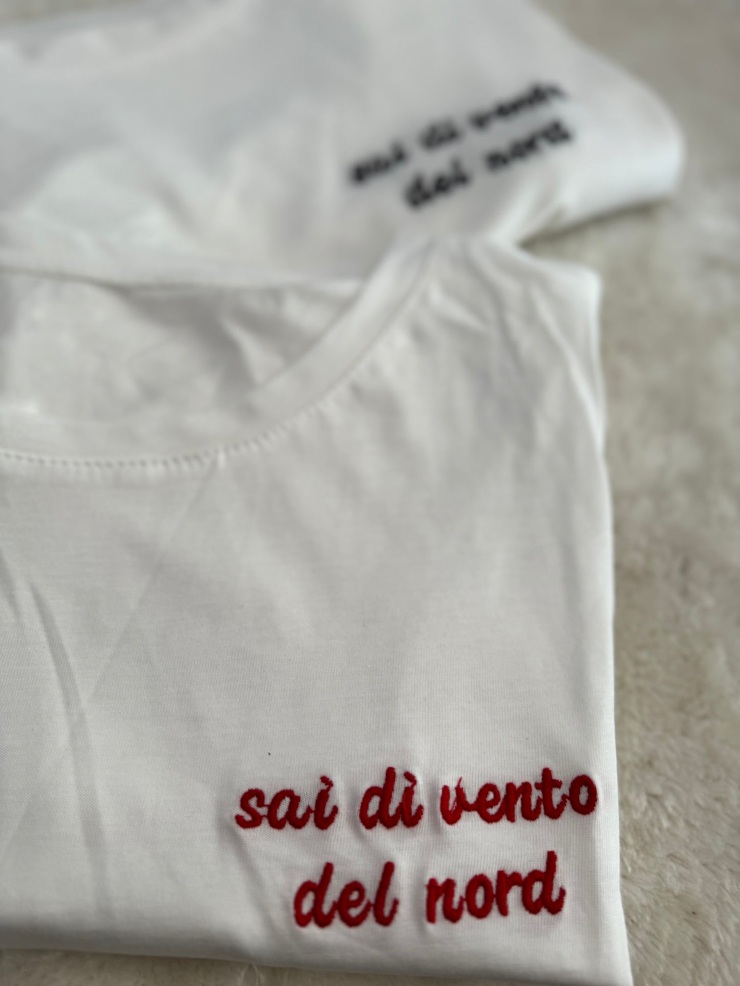 T-Shirt “Sai di vento del nord”